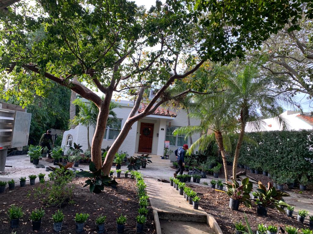landscaping
