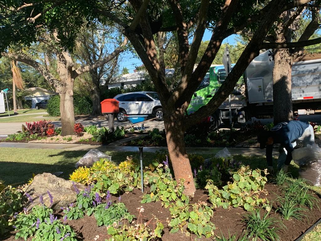 landscaping