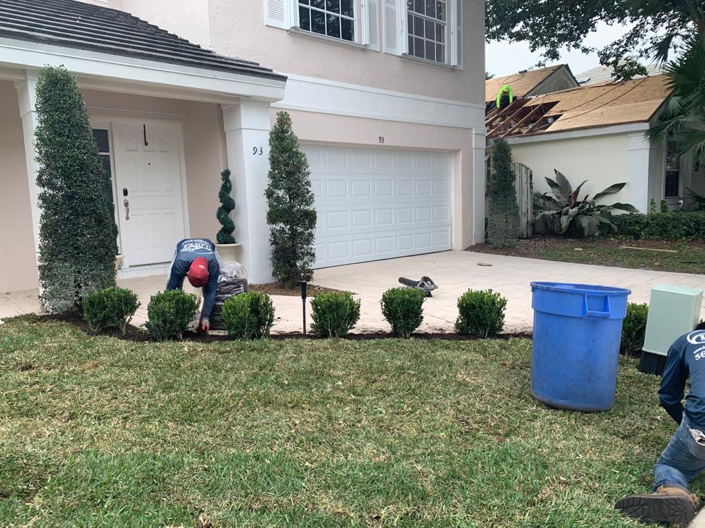 landscaping