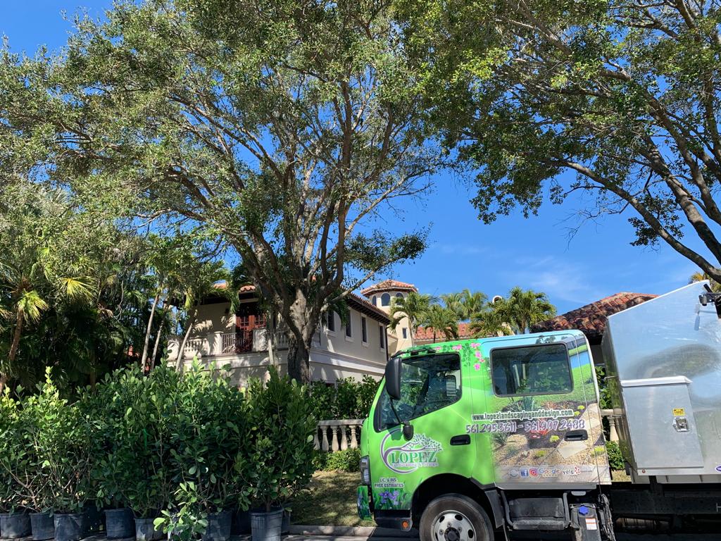 landscaping