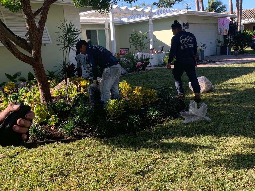 landscaping