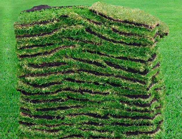 Sod Installation