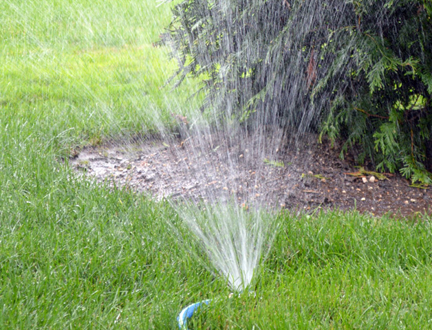 Sprinkler System Installation 